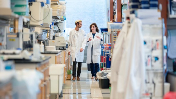 Louis V. Gerstner Jr. Graduate School of Biomedical Sciences