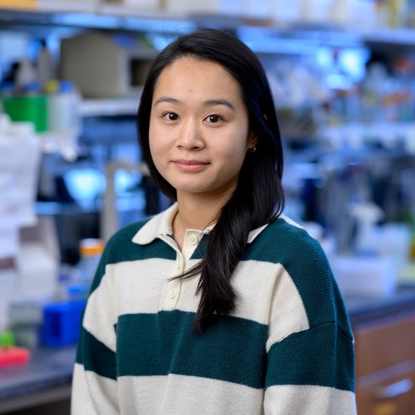 Jianxin Ruan The Yueming Li Lab: Yangjingyi Ruan | Gerstner Sloan Kettering Graduate ...