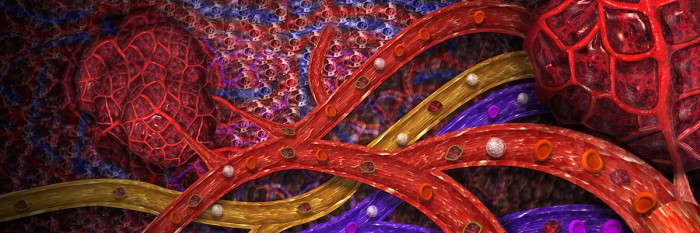 Diagnostic Technologies For Early Cancer Detection Sloan Kettering 
